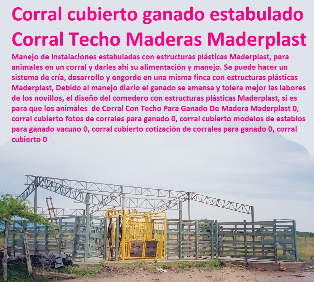 Mangas De Coleo, Corral Caballerizas, Pesebreras De Caballos, Plaza Toros, Brete Ganadero, Apretaderos Embarcaderos, Postes Tablas, Polines Varetas, Mangas De Coleo, Horcones Madera Plástica, Corrales, Establos De Ganado, Corral Con Techo Para Ganado De Madera Maderplast 0, corral cubierto fotos de corrales para ganado 0, corral cubierto modelos de establos para ganado vacuno 0, corral cubierto cotización de corrales para ganado 0, corral cubierto 0 Corral Con Techo Para Ganado De Madera Maderplast 0, corral cubierto fotos de corrales para ganado 0, corral cubierto modelos de establos para ganado vacuno 0, corral cubierto cotización de corrales para ganado 0, corral cubierto 0